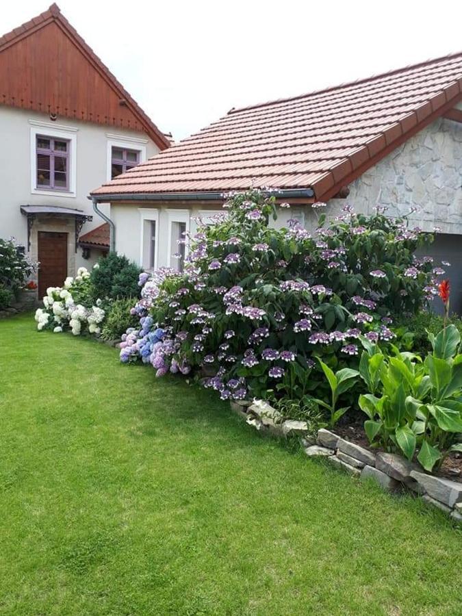 Hortensjowe Wzgórze Myślenice Zewnętrze zdjęcie